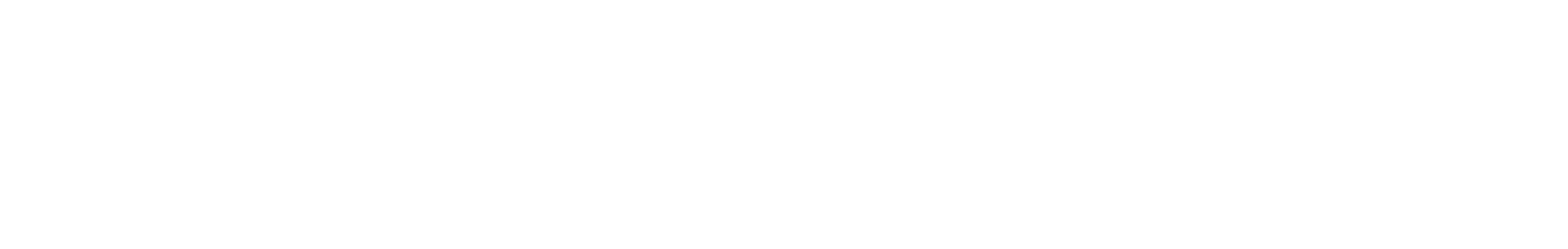 light logo